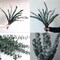 10 Pcs Dried Eucalyptus Shower Bundle – 17" Real Eucalyptus Stems with Lavender for Home Spa, Wedding, and Farmhouse Decor